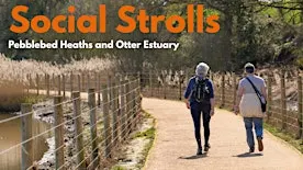Social Stroll