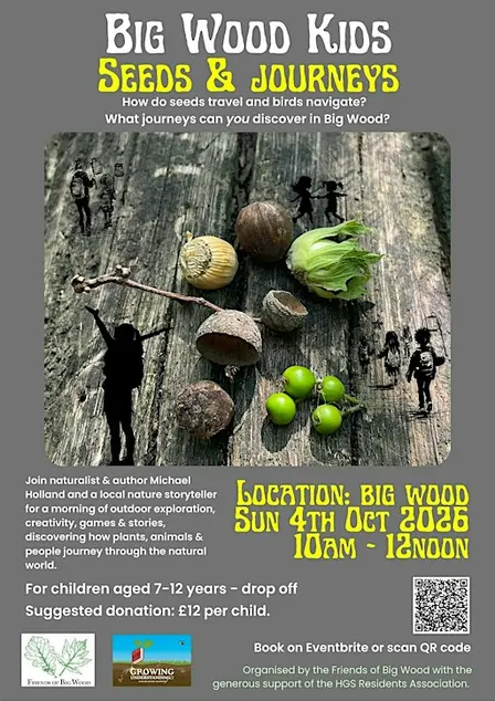 Seeds & Journeys - a creative workshop inspired by nature