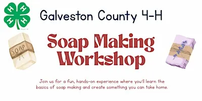 Galveston County 4-H Soap-Making Workshop