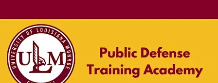 Public Defense Training Academy: Theory of the Case
