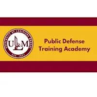 Public Defense Training Academy: Theory of the Case