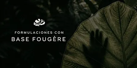 Formulaciones con Base Fougere PRESENCIAL