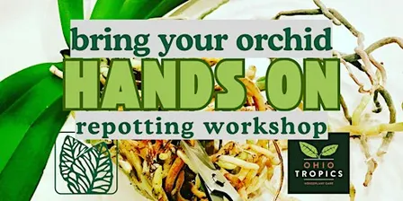 Bring Your Orchid! A Hands-On Repotting Workshop at Lowe's Greenhouse