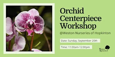 Fall Orchid Centerpiece Workshop