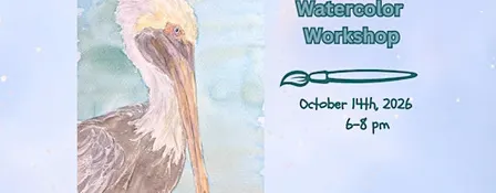 Watercolor Workshop- Pelican