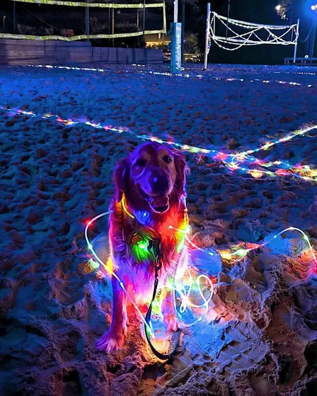 GLOW Mix N Match!!!