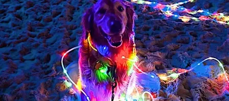GLOW Mix N Match!!!