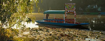 Free Walk&Talk - Xochimilco