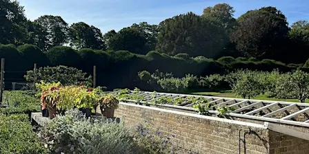 Tuesday Tension Release Yoga at Walmer Castle and Gardens
