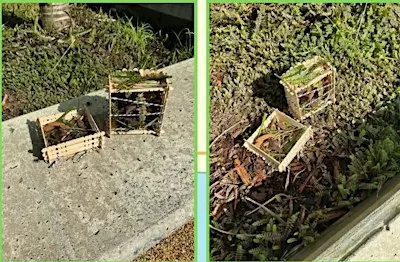 Build Your Own Bug Hotels