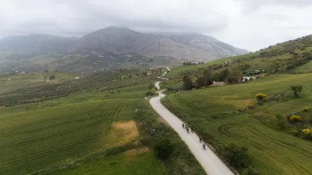 El Peregrinaje de Pitu