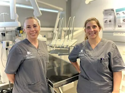 Tand-aften - AniCura Tranbjerg Dyrehospital