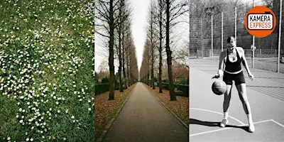 Fotowalk: Analoge Fotografie – einfach und kreativ umgesetzt