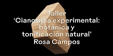Cianotipia experimental: botánica y tonificación natural