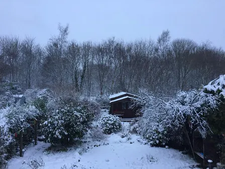 Silent Meditation  Day Retreat