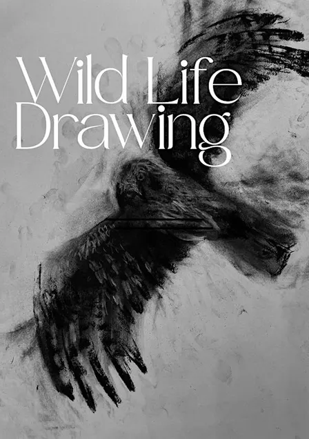 Wild Life Drawing: Birds of Prey