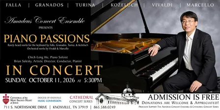 Cathedral Concert: Amadeus Concert Ensemble