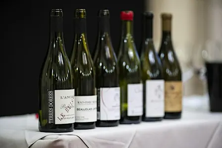 Versatile Vitovska: espressioni del bianco del Carso