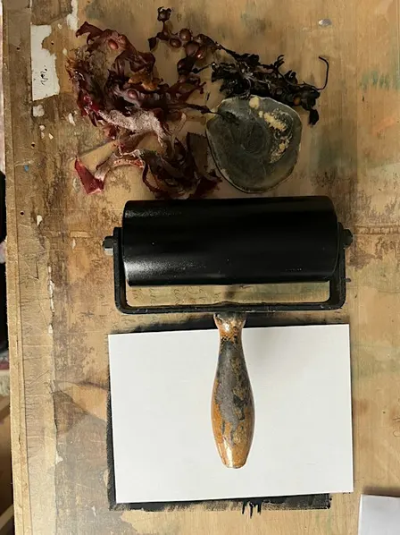 Nature mono types (monoprinting)