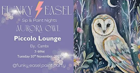 Paint Night at Piccolo Lounge. Ely, Cambs