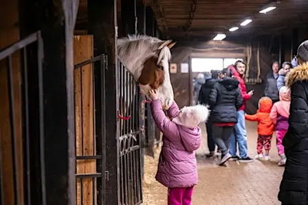 Meadowlarke Stables Barn Tours