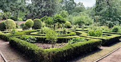 Shakespeare, Gardens and Rosa Grindon