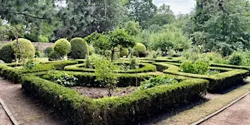 Shakespeare, Gardens and Rosa Grindon