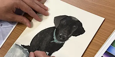 Paint Your Pet