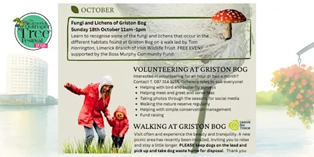 Fungi and Lichen walk with Tom Harrington