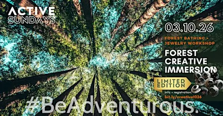 Silver & Silence: The Parnitha Forest Bathing & Jewelry Workshop
