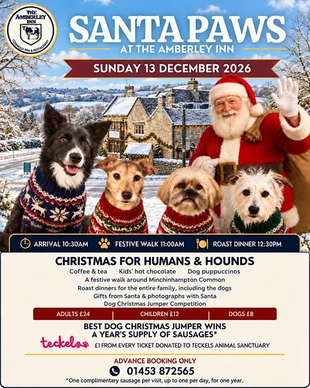 Santa Paws at The Amberley Inn
