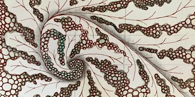 Fall Into Zentangle®: A Day Long Retreat