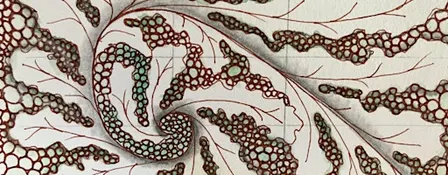 Fall Into Zentangle®: A Day Long Retreat