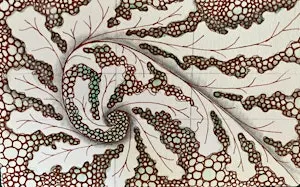 Fall Into Zentangle®: A Day Long Retreat