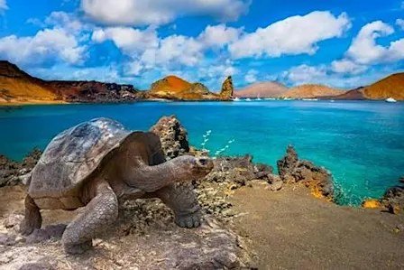 Discover the Wonders of the Galápagos Islands with Lindblad Expeditions