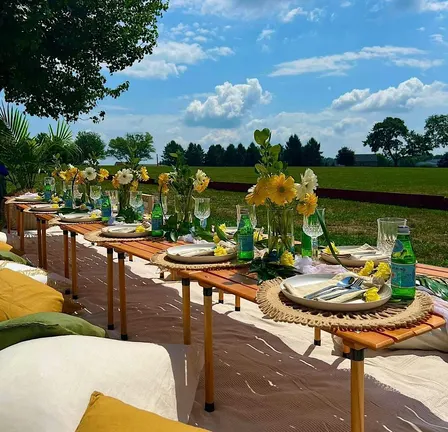 S² SOCIAL EVENTS PRESENTS:  A DAY AT POLO!