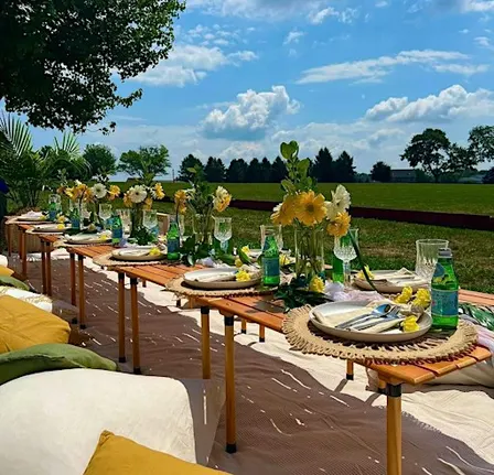 S² SOCIAL EVENTS PRESENTS: A DAY AT POLO!
