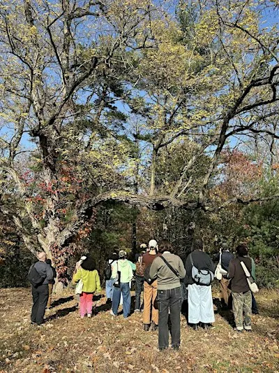 Birding for Preservation