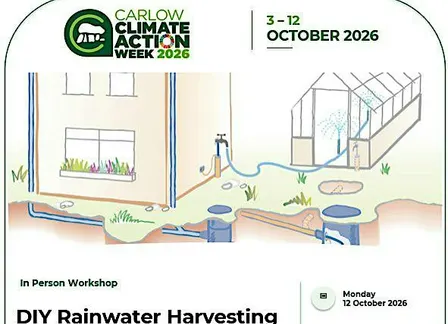 DIY Rainwater Harvesting Workshop