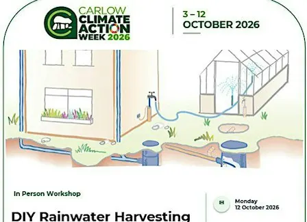 DIY Rainwater Harvesting Workshop