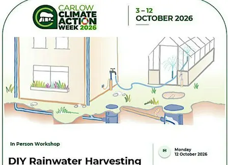 DIY Rainwater Harvesting Workshop