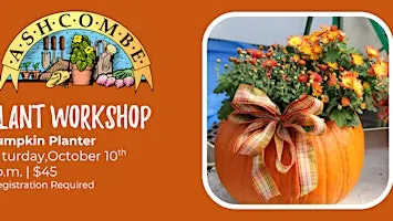 Pumpkin Planter