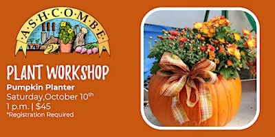 Pumpkin Planter