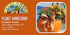 Pumpkin Planter