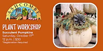 Succulent Pumpkins