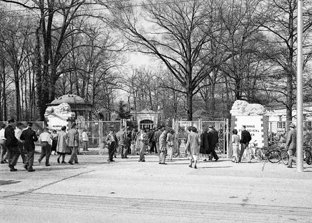 120 Years and Counting: A Tour of the Memphis Zoo's Historic Buildings