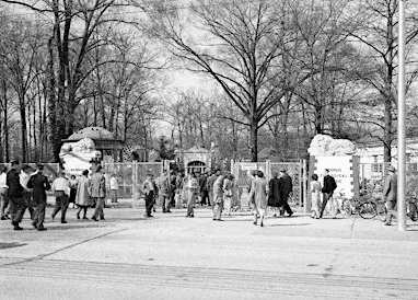 120 Years and Counting: A Tour of the Memphis Zoo's Historic Buildings