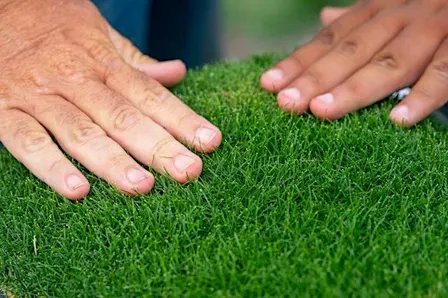 Urban Landscaping CEU Workshop