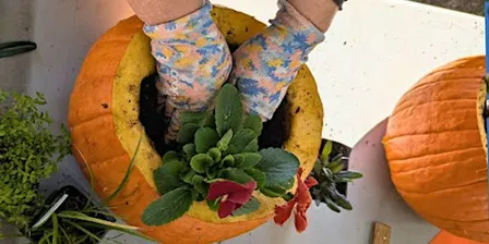 Garden For Life Kids Club: Mini Pumpkin Planters.