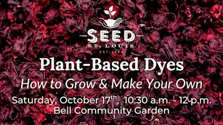 Plant-Based Dyes: How to Grow & Make Your Own